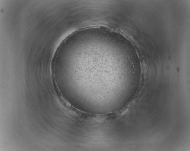 X0000076080148200610152301