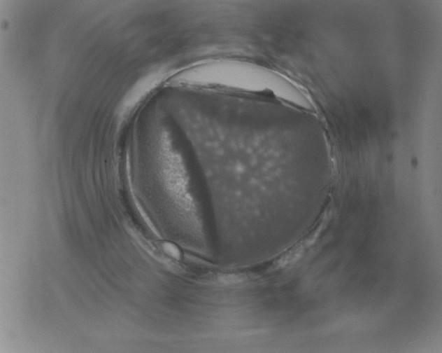 X0000076080149200610152301