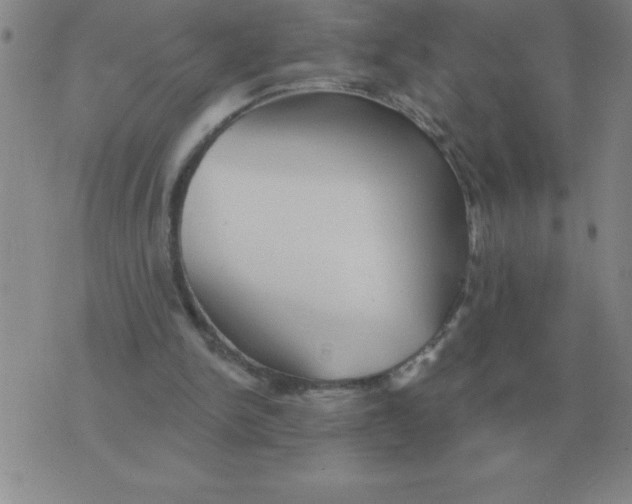 X0000076080150200610152301