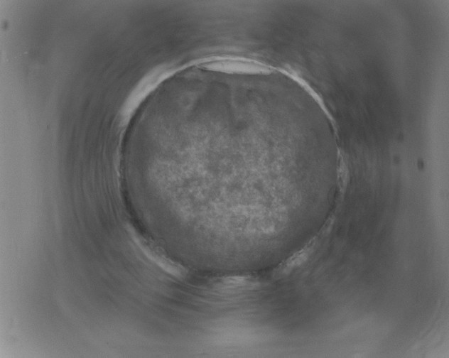 X0000076080151200610152301