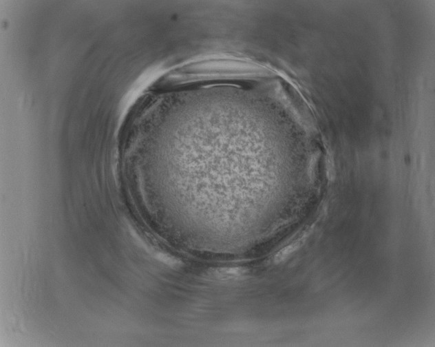 X0000076080152200610152301