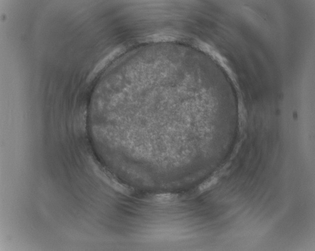 X0000076080153200610152301