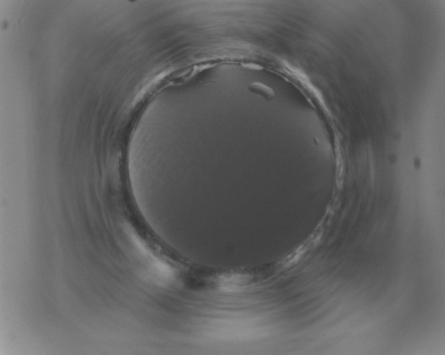 X0000076080154200610152301