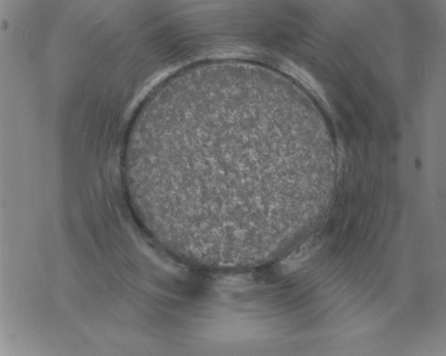 X0000076080155200610152301