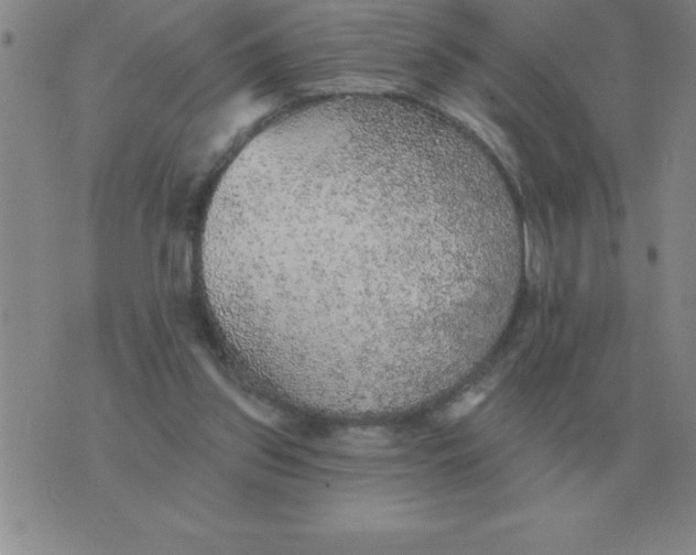 X0000076080157200610152301