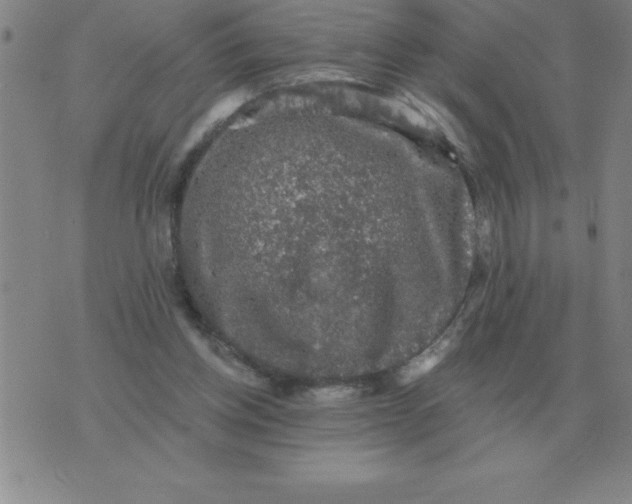 X0000076080158200610152301