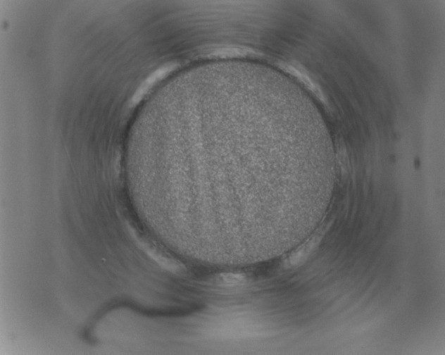 X0000076080159200610152301