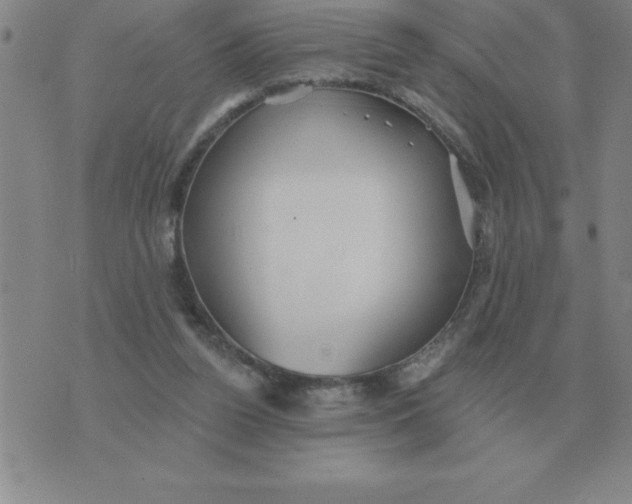 X0000076080160200610152301