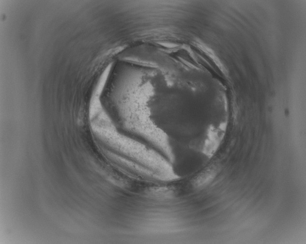 X0000076080161200610152301