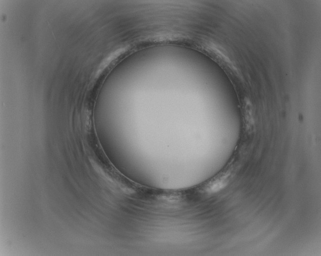 X0000076080164200610152301