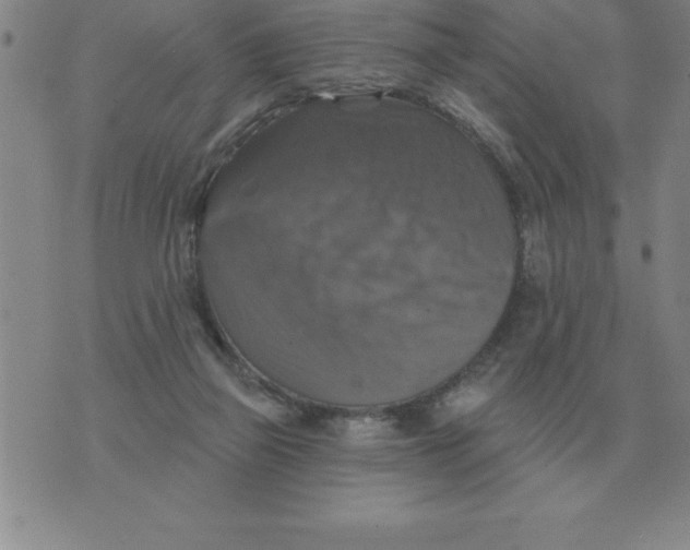 X0000076080165200610152301