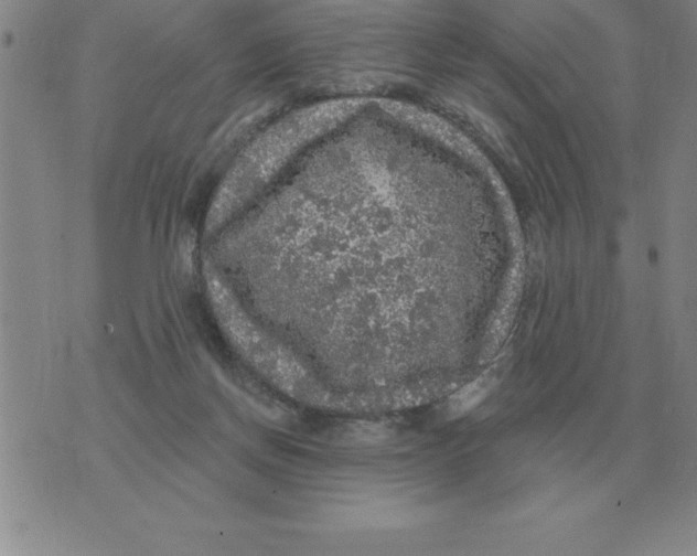 X0000076080166200610152301