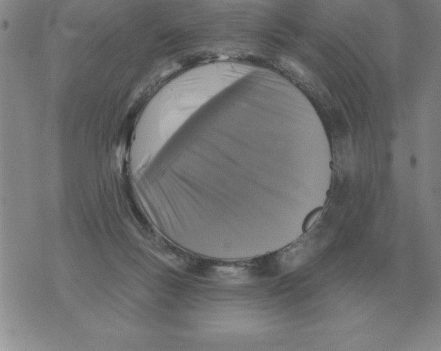 X0000076080167200610152302