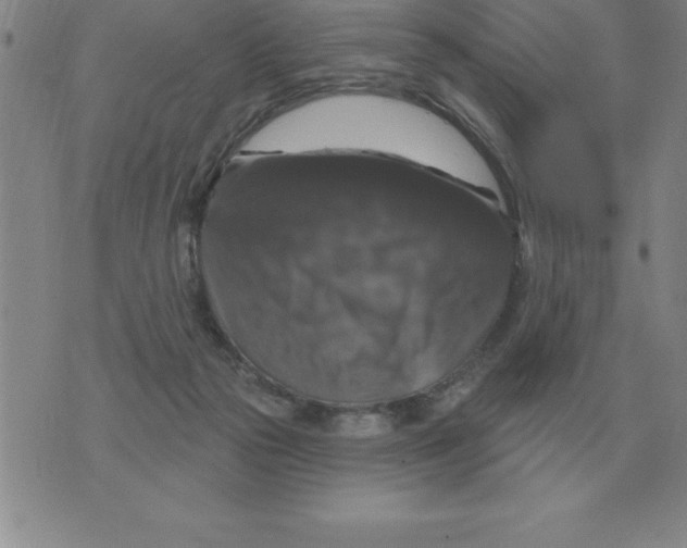 X0000076080169200610152302