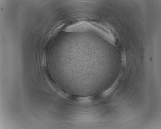 X0000076080170200610152302