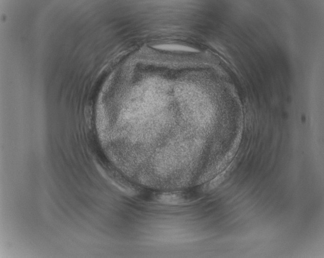 X0000076080171200610152302