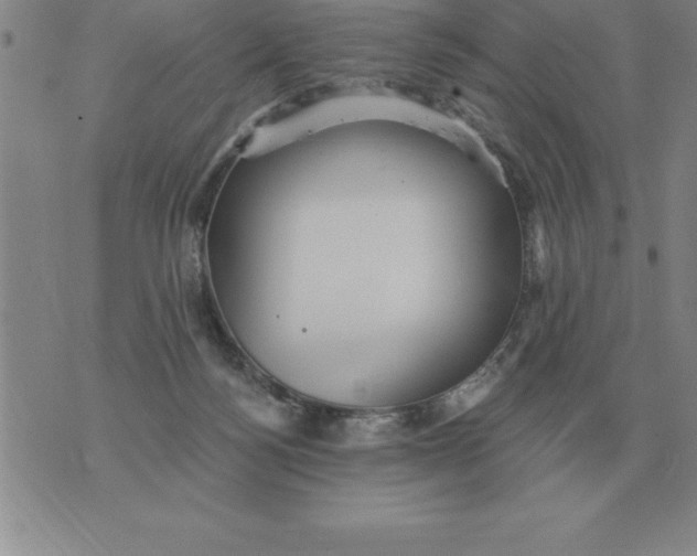 X0000076080172200610152302