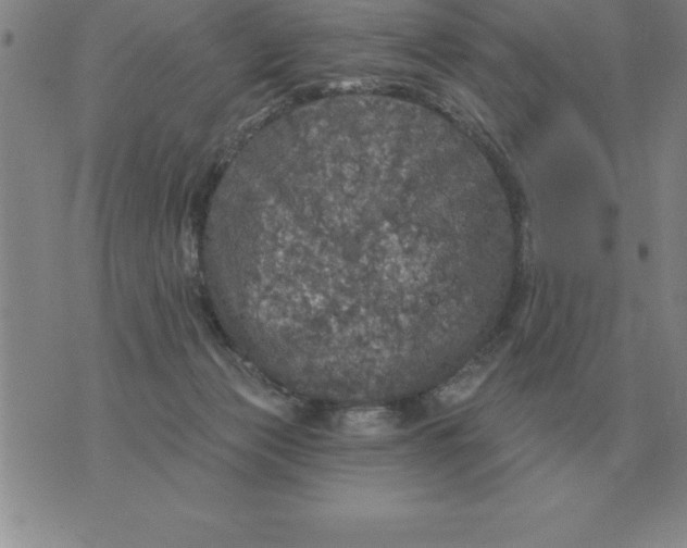 X0000076080173200610152302