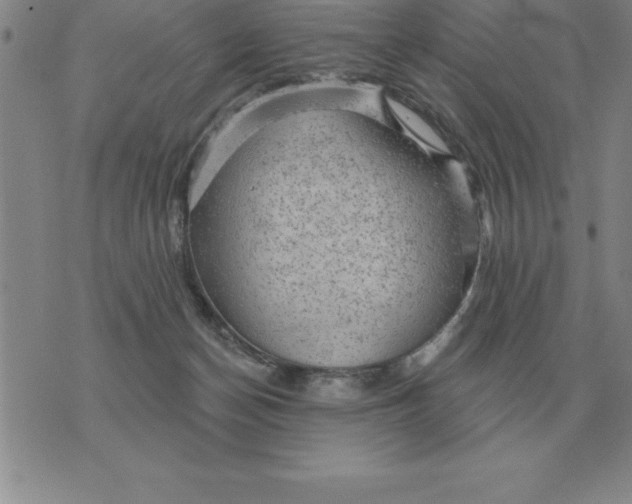 X0000076080174200610152302