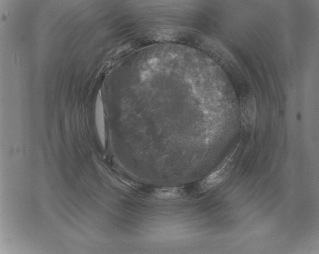 X0000076080175200610152302