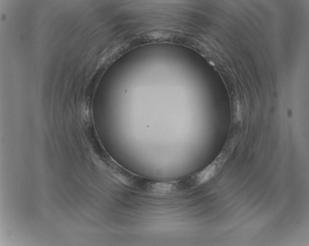 X0000076080176200610152302