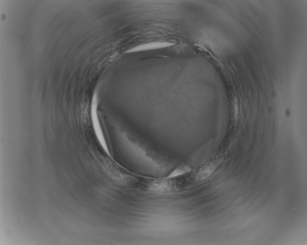 X0000076080177200610152302