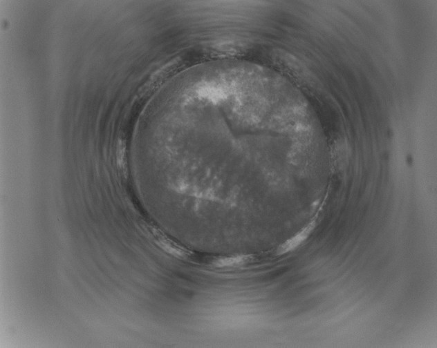 X0000076080178200610152302