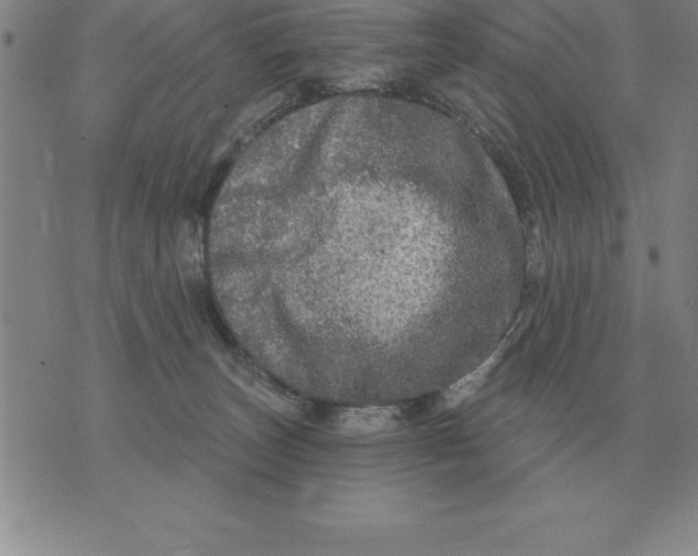 X0000076080179200610152302