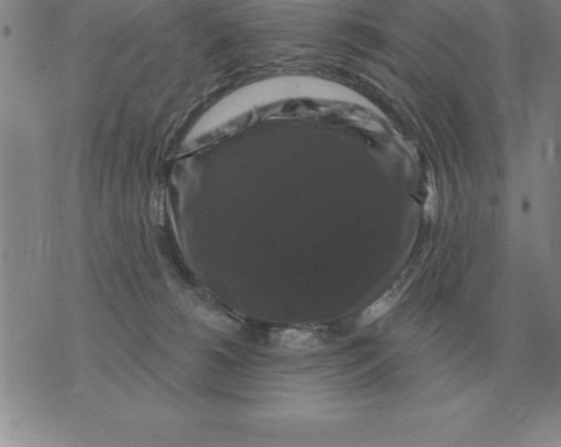 X0000076080180200610152302