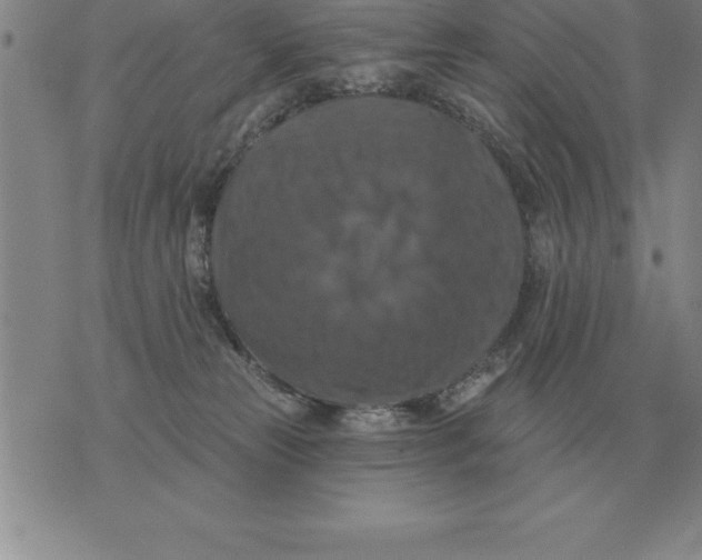 X0000076080181200610152302