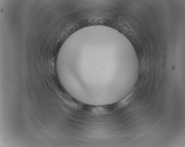 X0000076080183200610152302