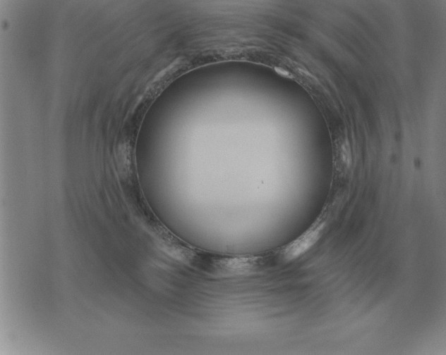 X0000076080184200610152302