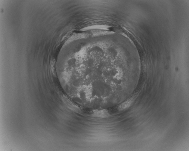 X0000076080185200610152302