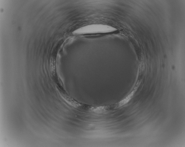 X0000076080186200610152302