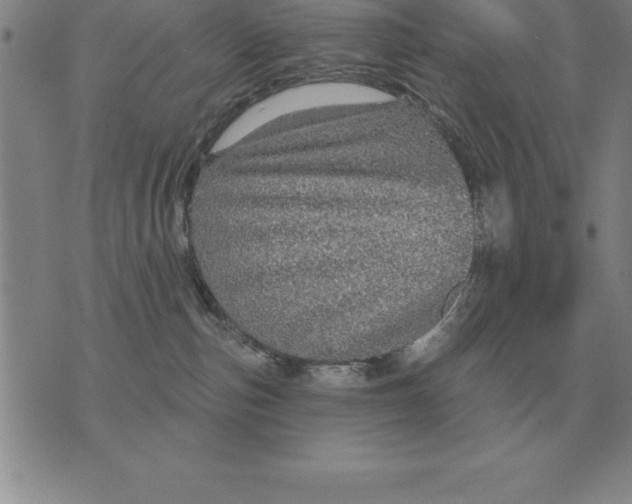 X0000076080187200610152302