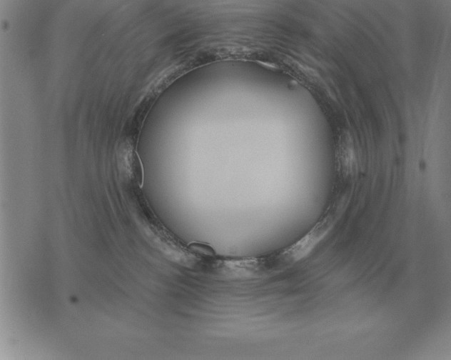 X0000076080188200610152302