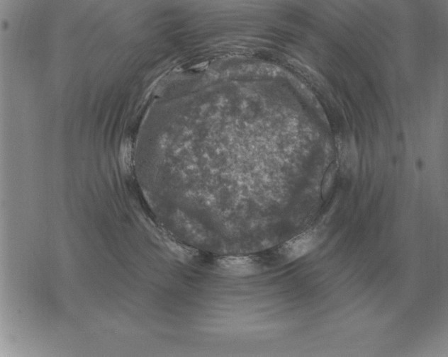 X0000076080189200610152302