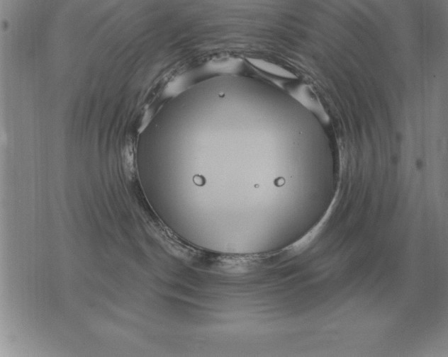 X0000076080190200610152302