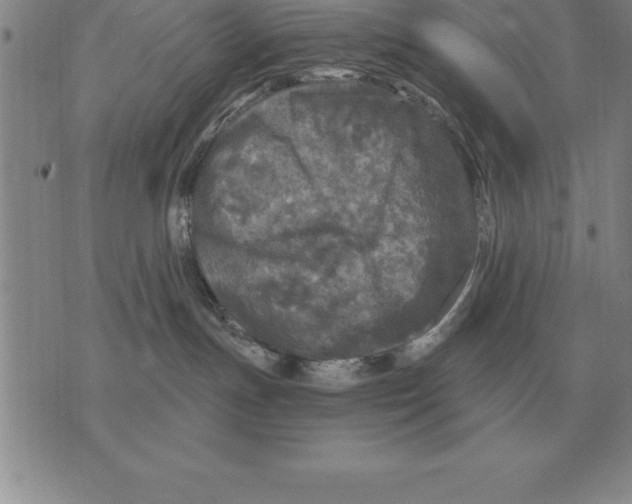 X0000076080191200610152302