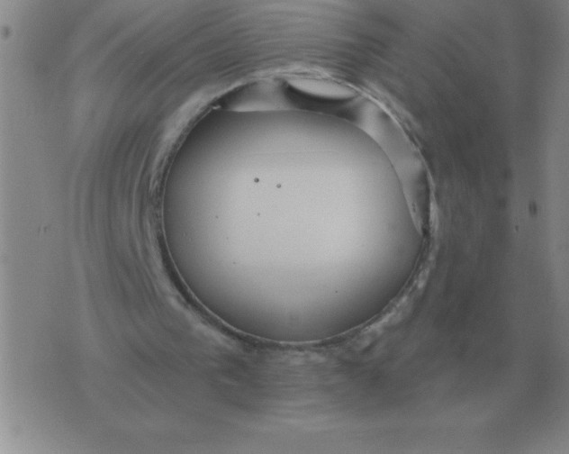 X0000076080193200610152301