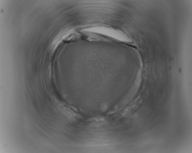 X0000076080194200610152301