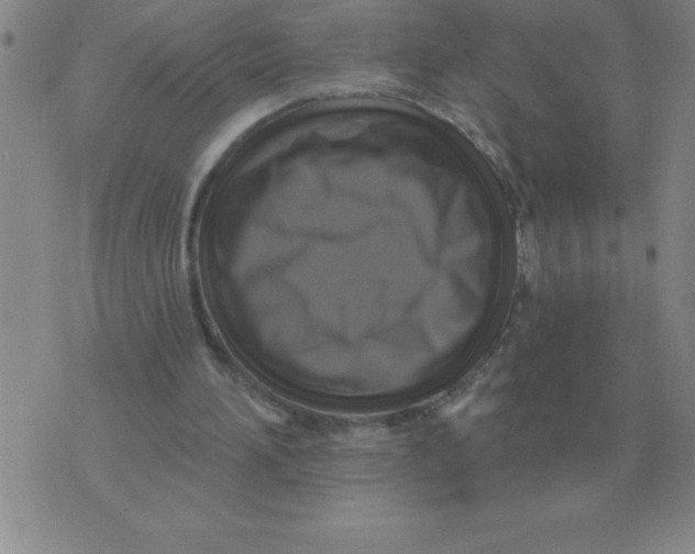 X0000076080196200610152301