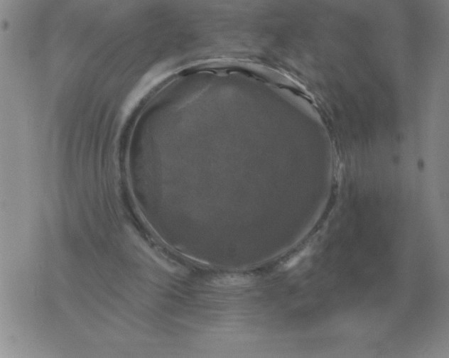 X0000076080198200610152301