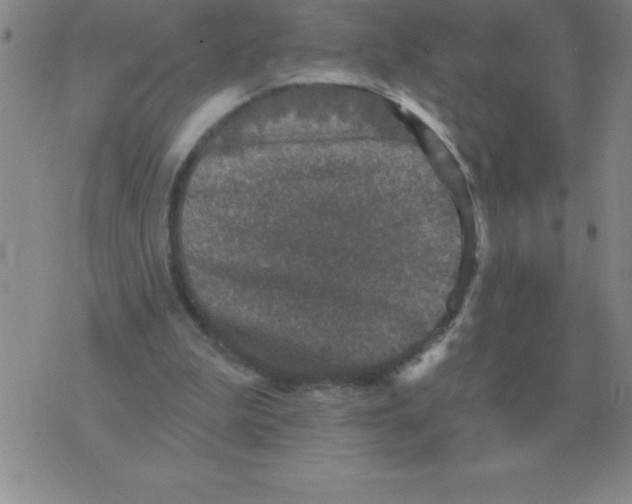 X0000076080199200610152301