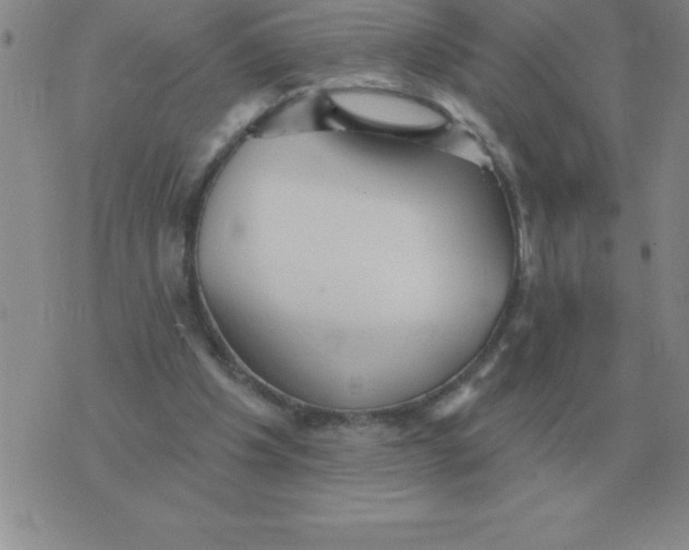 X0000076080201200610152301