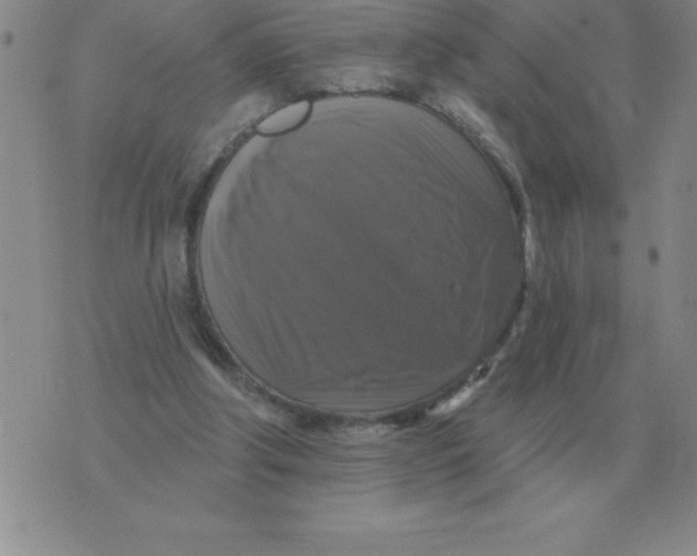 X0000076080202200610152301