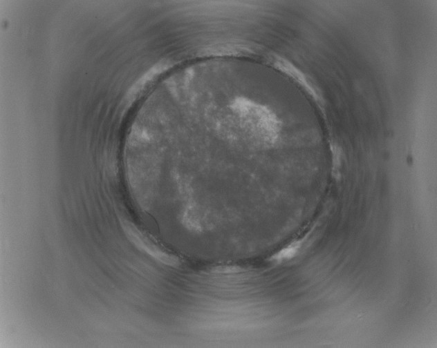 X0000076080203200610152301