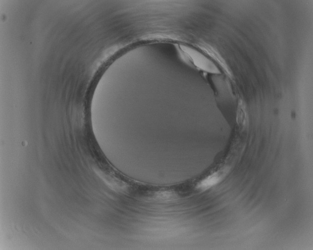 X0000076080204200610152301