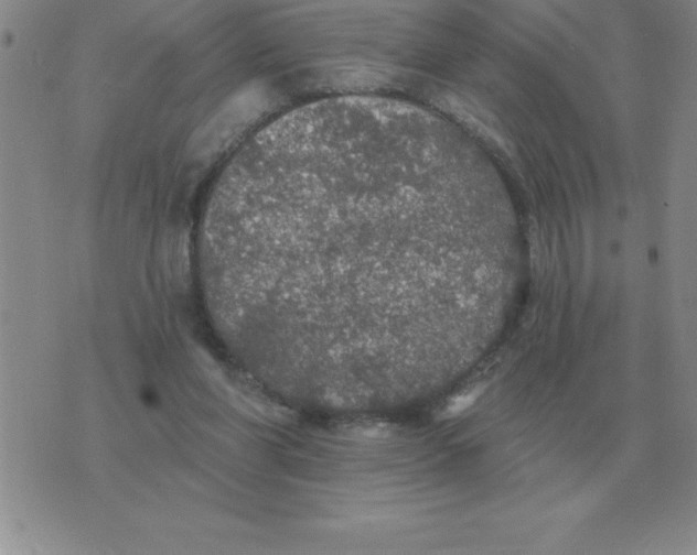 X0000076080206200610152301