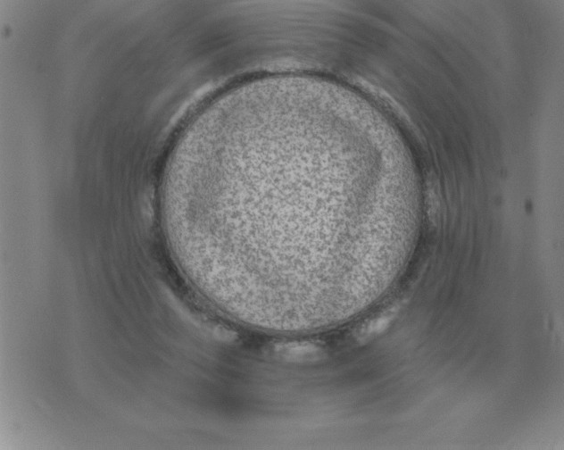 X0000076080208200610152301